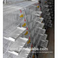 Specializing in the production of quail cage automatic feeding trough.